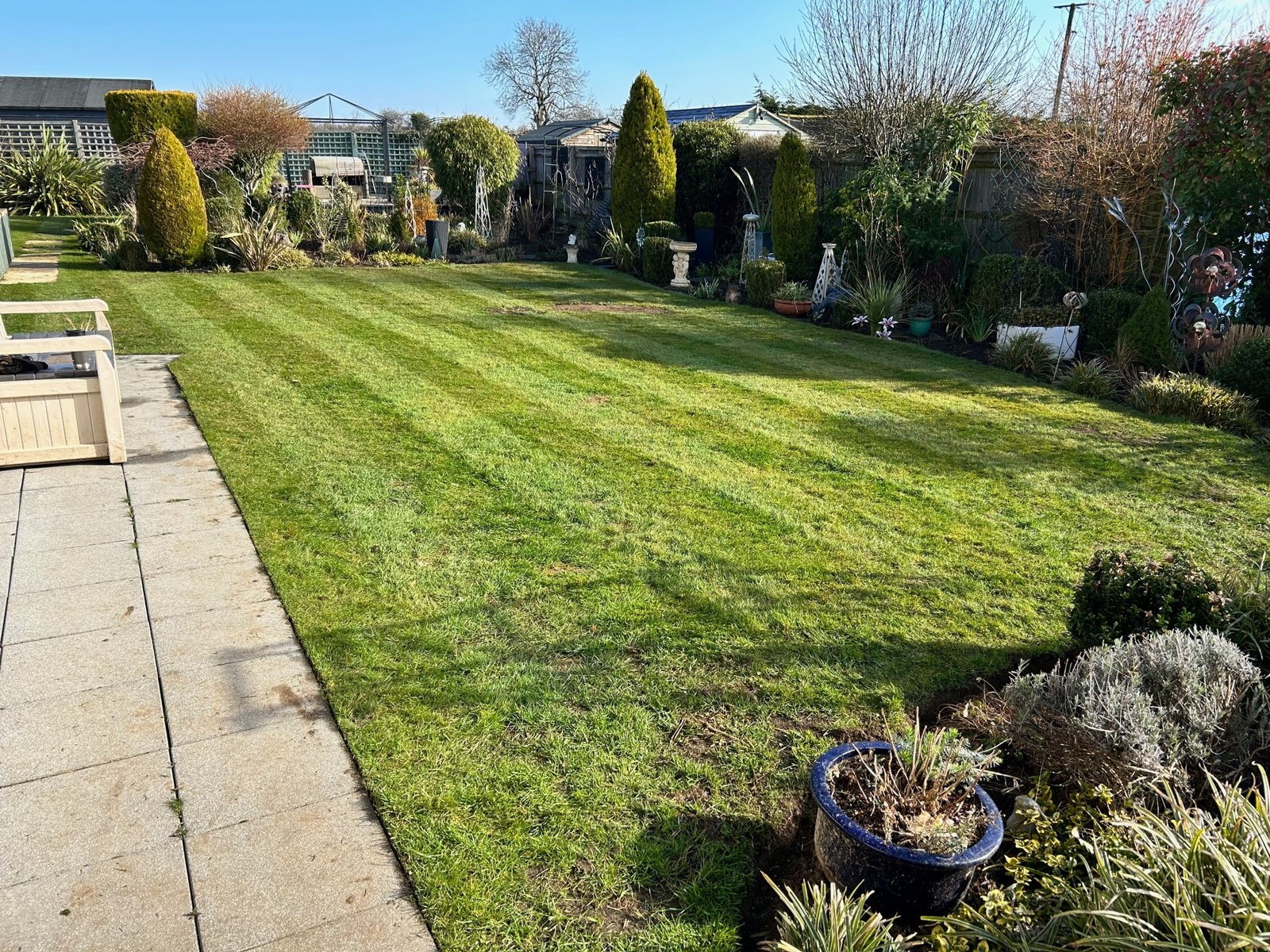 Maintained garden with a broad lawn, shaped shrubs and planted borders