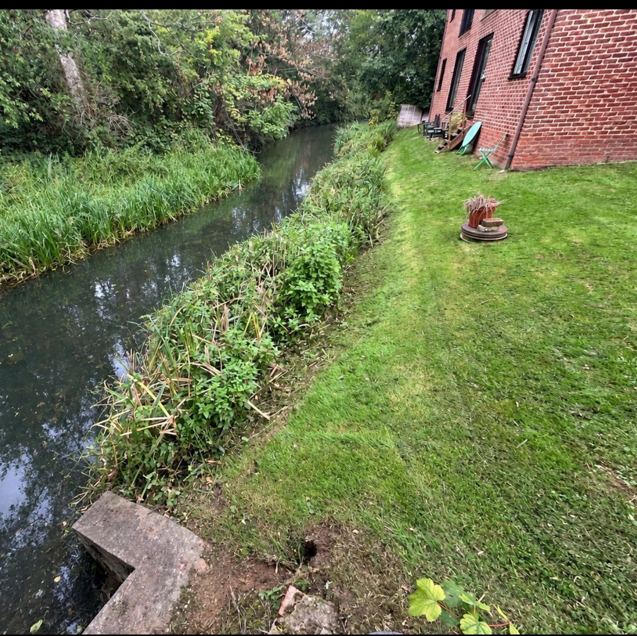 Stream edge after vegetation clearance